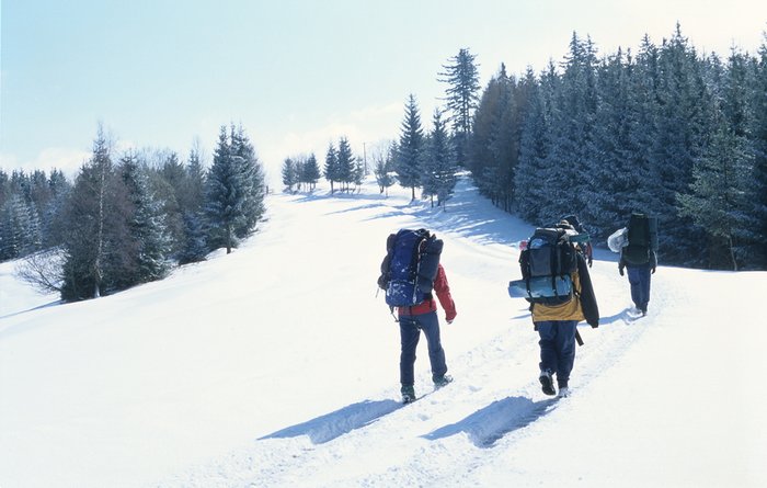 001 2001 Robinsonada Persea